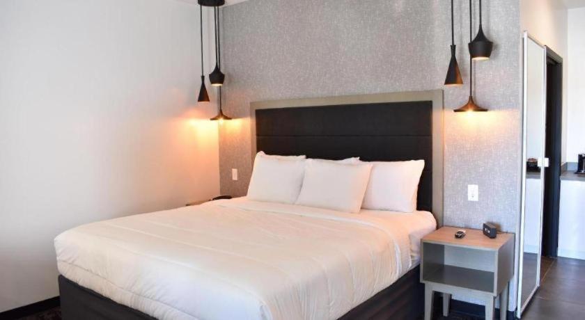 Hotel Bella Jersey Village Екстер'єр фото